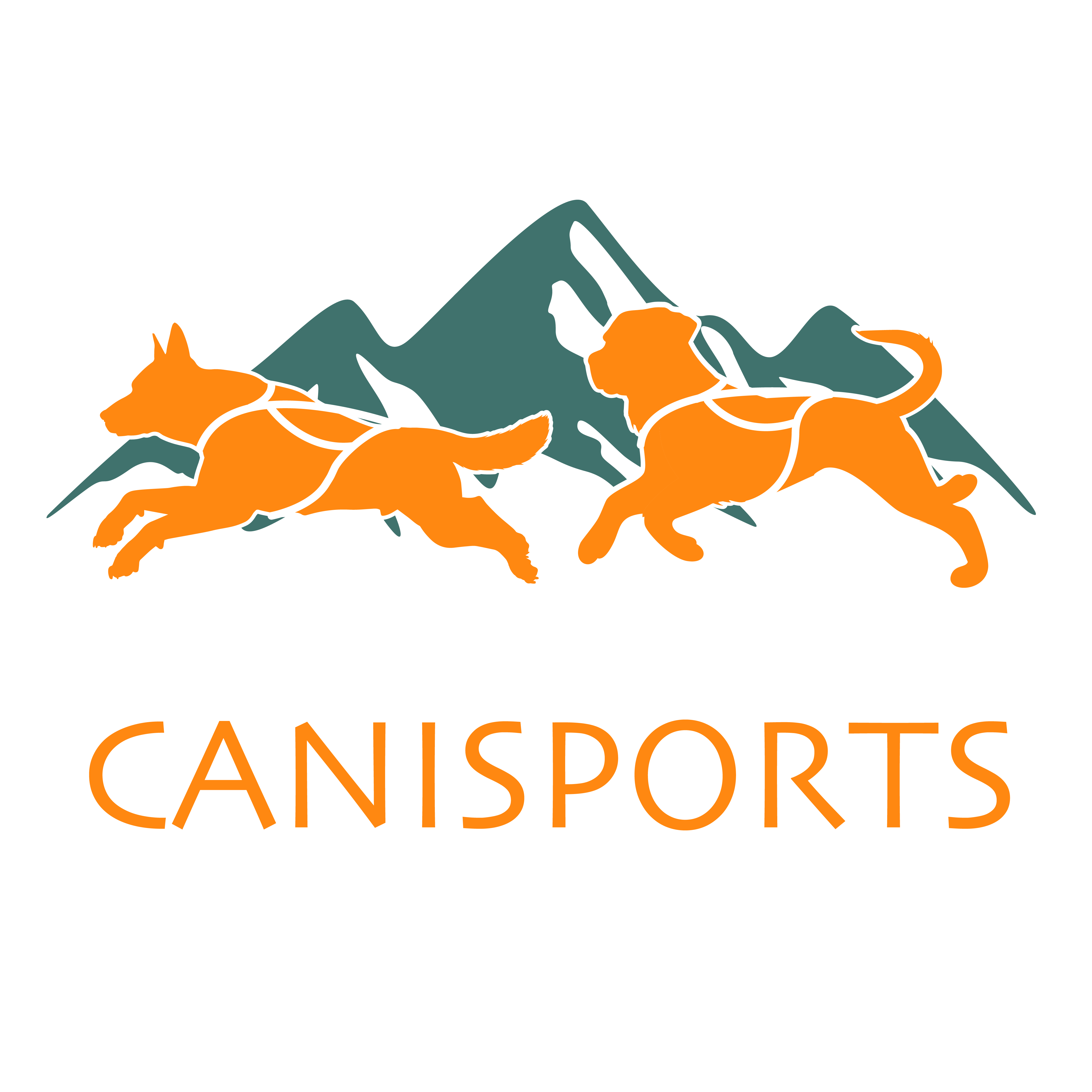 Tees Valley Canisports